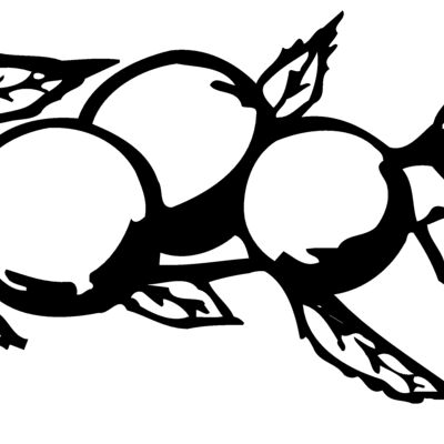 FRUIT028 Thumbnail