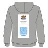 EcoSmart ® Pullover Hooded Sweatshirt Thumbnail